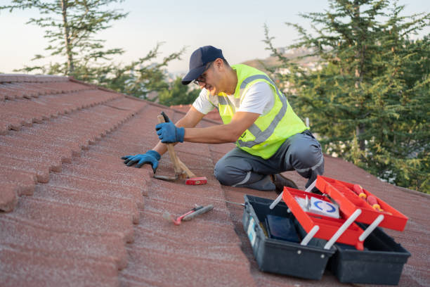 Best Roof Gutter Cleaning  in Masury, OH